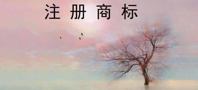 企业申请特殊标志商标都需要哪些资料？